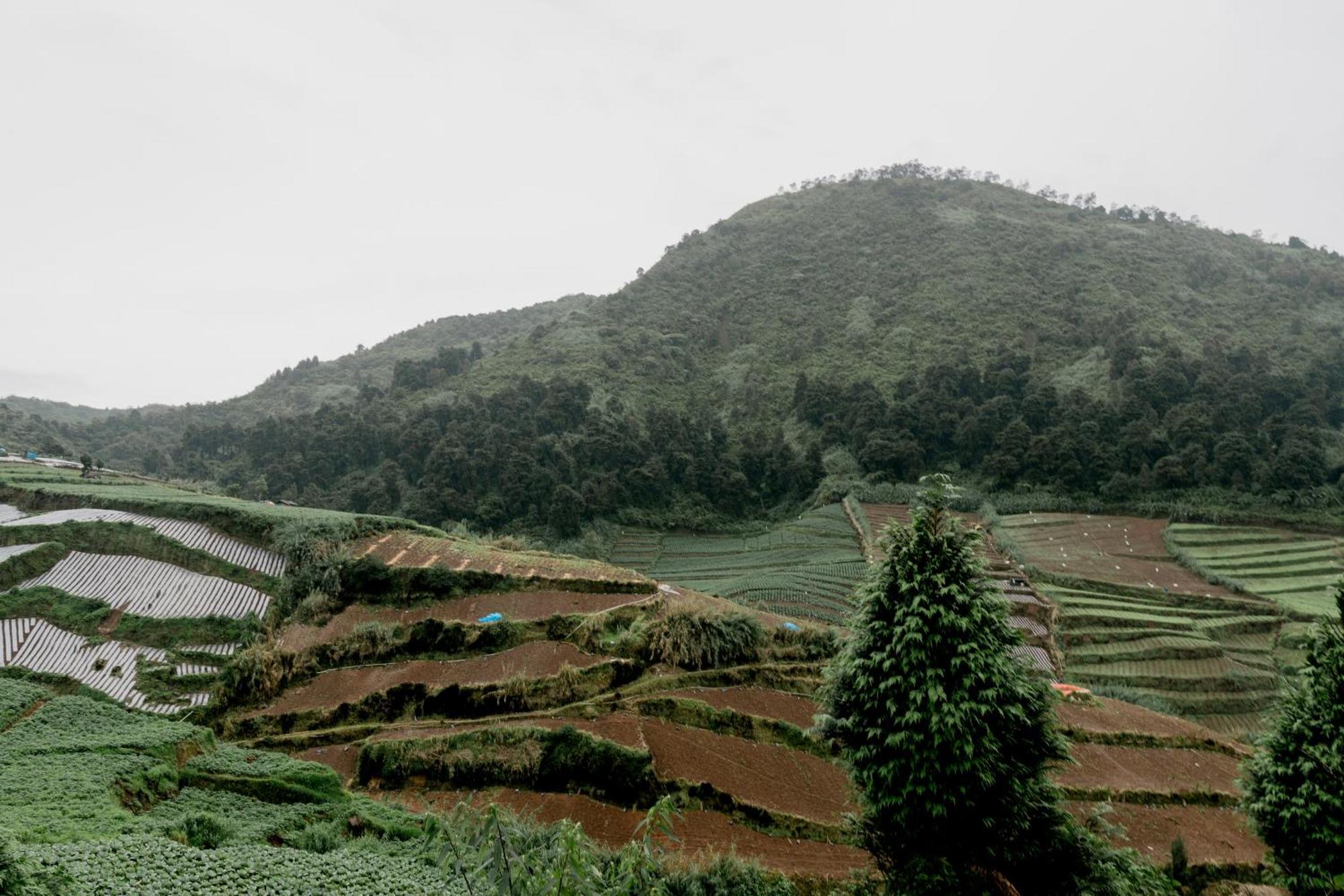 Satha Private Villa Dieng Banjarnegara Esterno foto